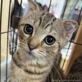 641792273985576960 from fansly