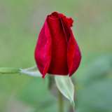 ielevenyou from onlyfans