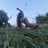 sxrchxh from onlyfans